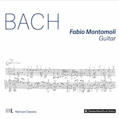 Violin Partita No. 2 in D Minor, BWV 1004 (Arr. for Guitar Solo): I. Allemande Song Lyrics