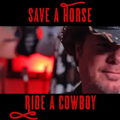 Save a Horse (Ride a Cowboy) Song Lyrics