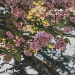 I Just Called to Say I Love You - Single by Carol Kay album reviews, ratings, credits