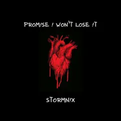 Promise I Won't Lose It - Single by StormN!X album reviews, ratings, credits