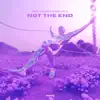 Not the End - Single album lyrics, reviews, download