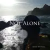 Not Alone - Single album lyrics, reviews, download