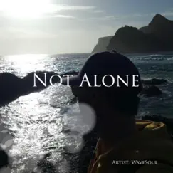 Not Alone - Single by WaveSoul album reviews, ratings, credits