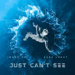 Just Can't See (feat. Cade Legat) - Single by Imago Dei album reviews, ratings, credits