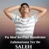 Pa Mor Ao Plar Bandeme Zahmatona Ter De - EP album lyrics, reviews, download