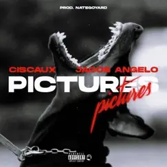 Pictures (feat. Jacob Angelo) - Single by Ciscaux album reviews, ratings, credits