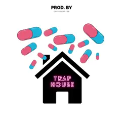 Trap House - Single by Dirty Sound Lab album reviews, ratings, credits