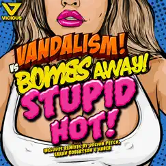 Stupid Hot (Haber Remix) Song Lyrics