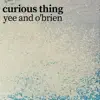 Curious Thing - Single album lyrics, reviews, download