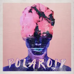 Polaroid - Single by Tell Me About album reviews, ratings, credits