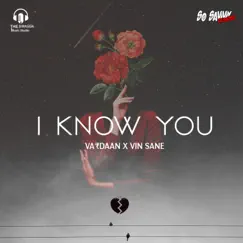 I Know You - Single by VIN SANE album reviews, ratings, credits