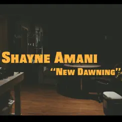 'New Dawning' - Single by Shayne Amani album reviews, ratings, credits