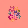 Flower Fight - Single album lyrics, reviews, download