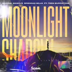 Moonlight Shadow (feat. Tess Burrstone) Song Lyrics