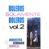 Boleros Solamente Boleros Vol.2 album lyrics, reviews, download
