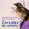 Zorzales de Antaño - Orquesta Rodolfo Biagi - Alma De Bohemio album lyrics, reviews, download