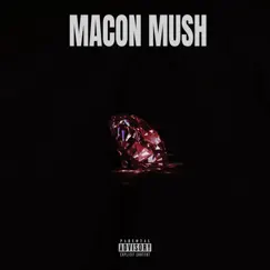 Leaked Not Loved by Macon Mush album reviews, ratings, credits