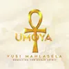 A Dance of Life (feat. Maduvha) song lyrics