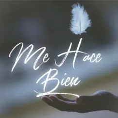 Me Hace Bien - Single by Raúl Ornelas album reviews, ratings, credits