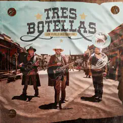 Tres Botellas - Single by Los Plebes del Rancho de Ariel Camacho album reviews, ratings, credits