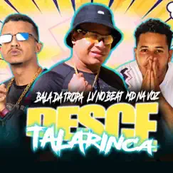 Desce Talarica - Single by Bala da Tropa, LV no Beat & Md Na voz album reviews, ratings, credits
