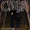 Capirai (feat. ILIO) - Single album lyrics, reviews, download
