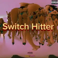Switch Hitter - Single by Don Mario album reviews, ratings, credits