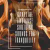 Campfire Ambiance: Soothing Sounds for Tranquility, Meditation, and Calm Nights album lyrics, reviews, download