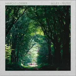 Alley- Felted - Single by Marcus Loeber album reviews, ratings, credits