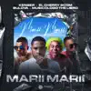 Marii Marii (feat. Musicologo The Libro) - Single album lyrics, reviews, download