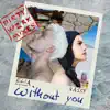 Without You (Dirty Werk Mixes) - Single album lyrics, reviews, download
