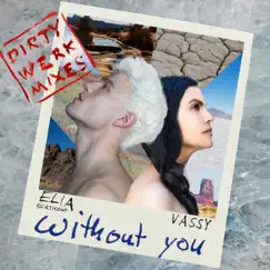 Without You (Dirty Werk Mixes) - Single by Elia Berthoud & VASSY album reviews, ratings, credits