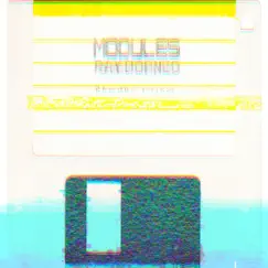 Module#5 (Floppy Disk Version) Song Lyrics