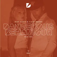 Dangerous Behaviour (Tom Ferry Remix) Song Lyrics