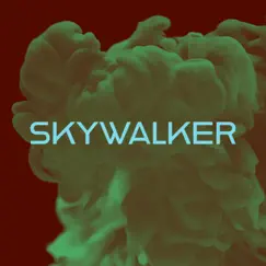 Skywalker - Single by Heavy P album reviews, ratings, credits