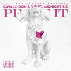 Prove It - Single by Cavalli Don & VIP album reviews, ratings, credits