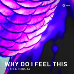 Why Do I Feel This (Extended Mix) Song Lyrics