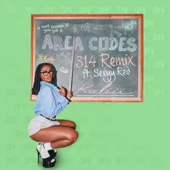 Area Codes (314 Remix) [feat. Sexyy Red] Song Lyrics