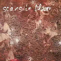 Rendering of a Frayed Red Thread - Single by Scars in Bloom album reviews, ratings, credits