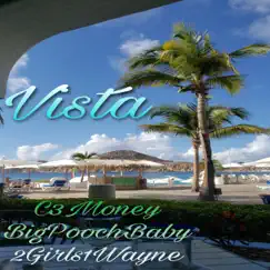 Vista - Single by C3Money, BigPoochBaby & 2Girls1Wayne album reviews, ratings, credits