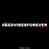 Badvibesforever (Remix) - Single album lyrics, reviews, download