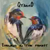 Evening In the Forest - Single album lyrics, reviews, download
