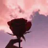 Roses Are Red - Single (feat. Rafael Garibaldi, Zodimak & Blonexxx) - Single album lyrics, reviews, download