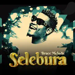 Selebura - Single by Bruce Melodie album reviews, ratings, credits