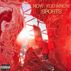 Now You Know - Single by Sports album reviews, ratings, credits