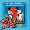 Danza Huenches Viejo, Vol. 29 album lyrics, reviews, download