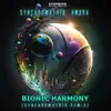 Bionic Harmony (Synchromatrix Remix) - Single album lyrics, reviews, download