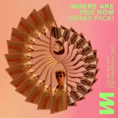 Where Are You Now (Remix Pack) - Single by Lost Frequencies & Calum Scott album reviews, ratings, credits