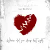Where Did You Sleep Last Night - Single album lyrics, reviews, download