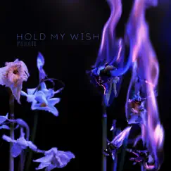 Hold My Wish Song Lyrics